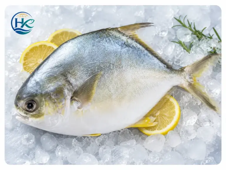 Golden Pomfret
