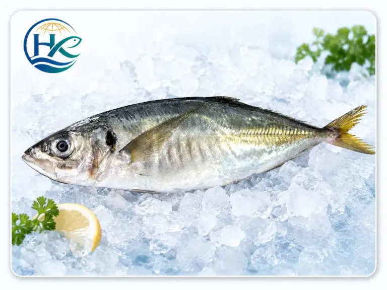 Horse Mackerel