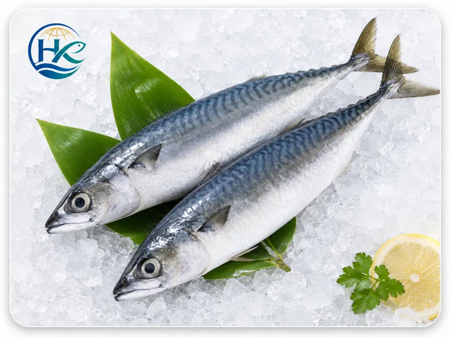Hanxing Seafood Expands Cold Storage Capacity for 2026 Export Season
