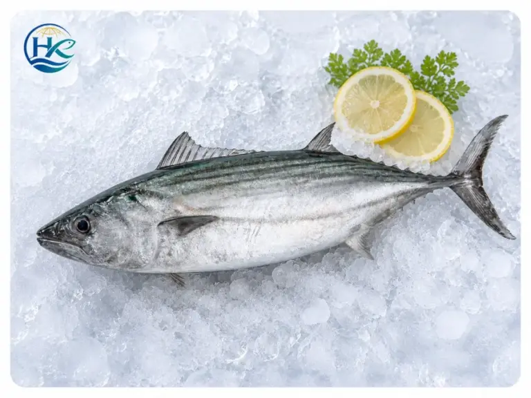 Striped Bonito