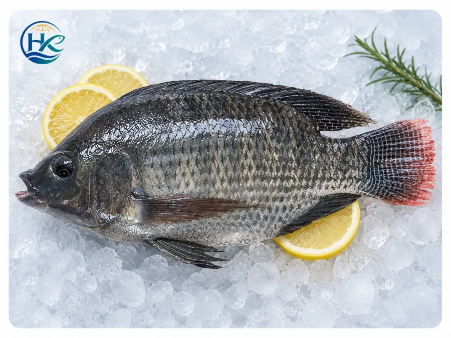 Golden Pomfret product detail image