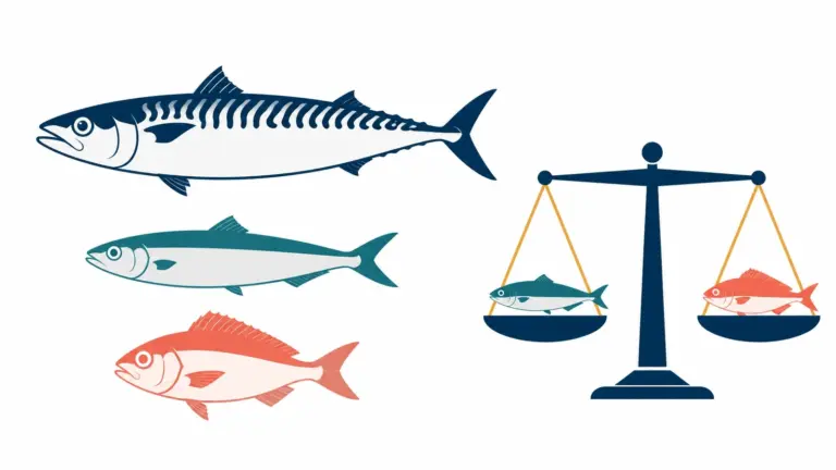 High Mackerel Prices: Alternative Fish Species for Importers