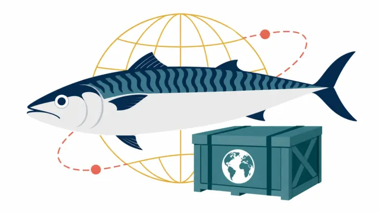 The Commercial Value of Frozen Mackerel: Why It Remains a Top Global Seafood Commodity