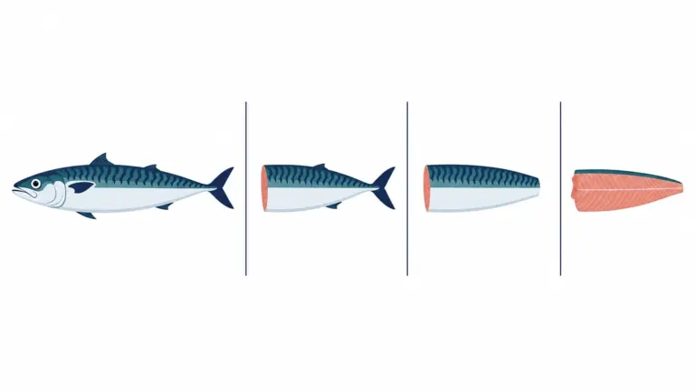 Whole Round, H&G, HGT, and Fillet Mackerel: Key Differences