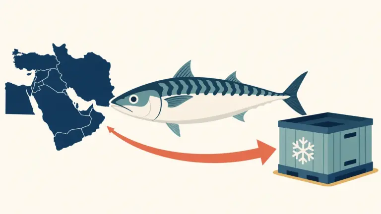 Why the Middle East Imports Large Volumes of Frozen Mackerel