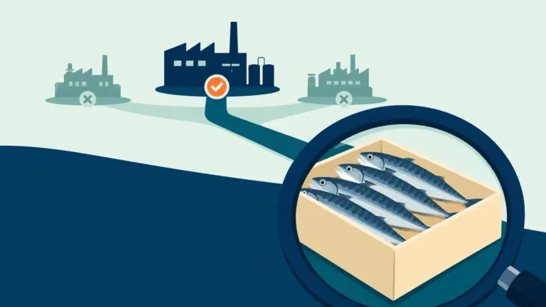 How Southeast Asian Buyers Select Chinese Seafood Suppliers